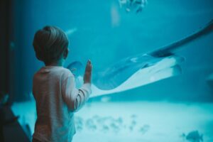 Kid at aquarium