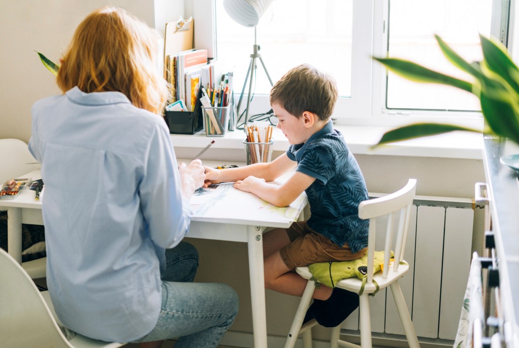 Teacher and student learning