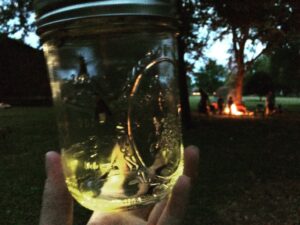 Jar with lightning bugs