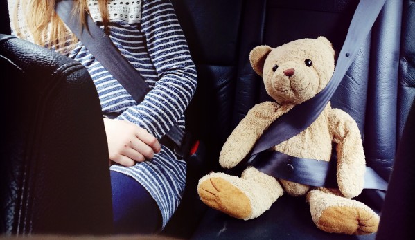 Teddy bear in seatbelt