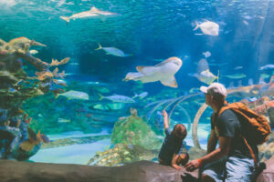 Adult and child at aquarium