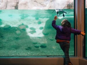 Kid at an aquarium.